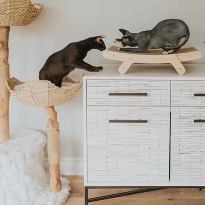 Versatile Durable Cat Scratch Board