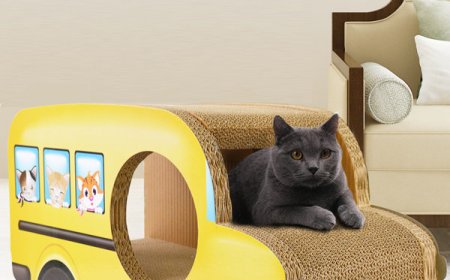 New Bus-Shaped Cat Scratcher Debuts, Creating a Unique Playground for Cats