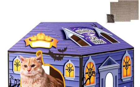 Enchanting Purple Halloween-Themed Cat House Debuts, Bringing a Mysterious Holiday Vibe to Your Feline’s Home