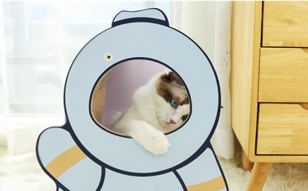 New Astronaut-Shaped Cat Scratcher Launches, Leading a New Trend in Pet Entertainment and Health