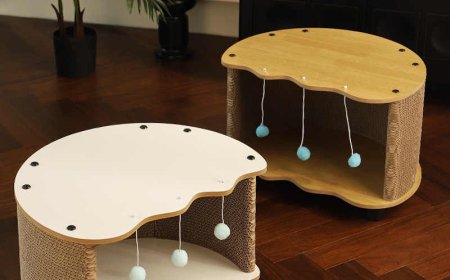Eggshell-Shaped Cat Scratcher: The All-in-One Companion for Your Feline Friend