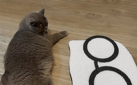 Black and White Glasses Pattern Cat Scratching Board