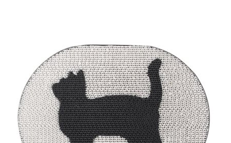 Cat-Themed Scratch Board — A Premium Choice for Your Feline Friends