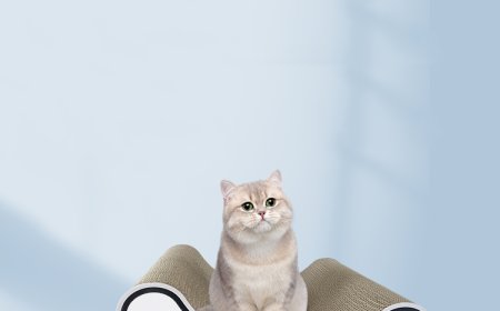 Factory-Direct Valley-Shaped Cat Scratching Board with Customization Options, Leading the Pet Product Market