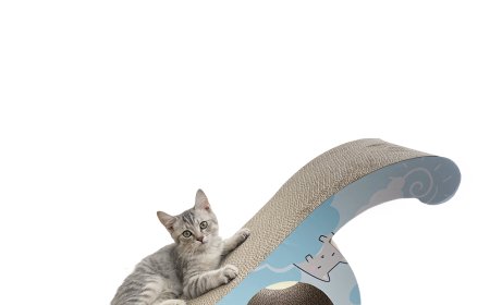 New Sea Lion-Shaped Cat Scratcher: A Perfect Blend of Eco-Friendly Materials and Playful Design for Your Cat