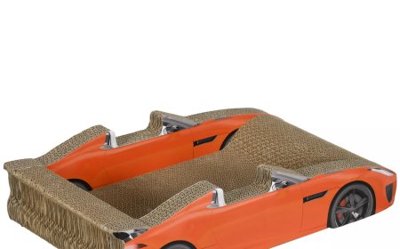 New Car-Shaped Cat Scratcher Launches, Made from Corrugated Paper for a Fresh Experience
