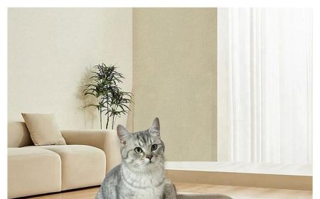 Double-Sided Curved Cat Scratcher: Adding Fun and Comfort to Your Cat's Life