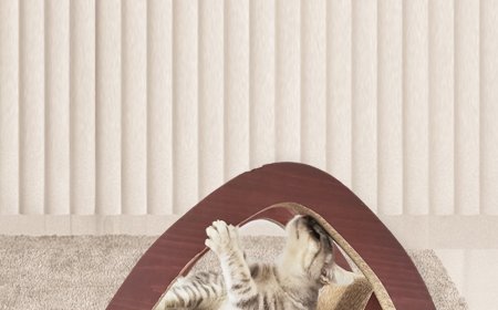 Corrugated Paper Cat Scratchers: A “Claw-ful” Toy for Cats and a Thoughtful Choice for Pet Owners