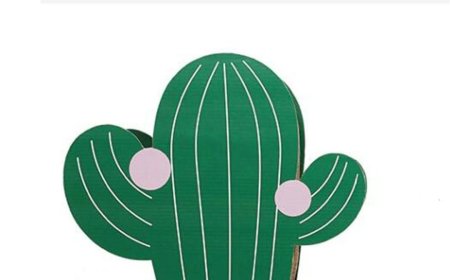 Innovative Design! Cactus-Shaped Cat Scratching Board Leads a New Trend in the Pet Market