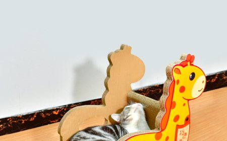 Innovative Pet Product: Giraffe-Shaped Corrugated Cat Scratcher Leading the Market Trend