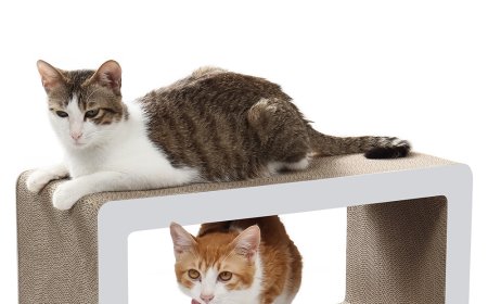 TV-Shaped Cat Scratcher – An Innovative and Comfortable Scratching Experience for Your Pet