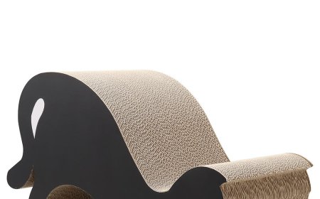 Cat-Shaped Cat Scratcher—An Innovative Pet Product Combining Style and Functionality