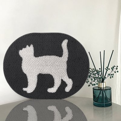 White Cat Scratching Pad On Black Background