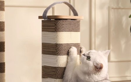 Lantern-Style Cat Scratching Post: Eco-Friendly Material and Multifunctional Design for Happier Cats