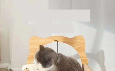 Corrugated Paper Cat Scratching Pads: The Perfect Combination of Eco-Friendliness and Pet Needs