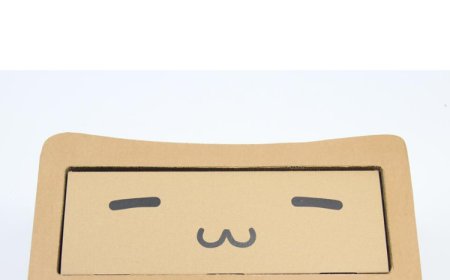 Corrugated Cardboard Cat Scratching Board: The New Favorite of Felines and Home Protector