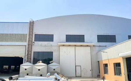 Qingdao Meowlove Pet Products Co., Ltd. Successfully Relocates Factory, Embarks on New Chapter of Development