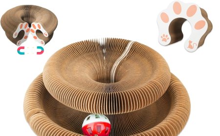 Accordion-Style Cat Scratcher: Pioneering a New Trend in Feline Living