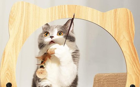 Density Board Type Corrugated Paper Cat Scratcher: Innovative Pet Product Leading the Trend