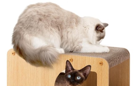 Corrugated Paper Cat House Scratcher: A Perfect Combination of Environmental Protection and Feline Happiness