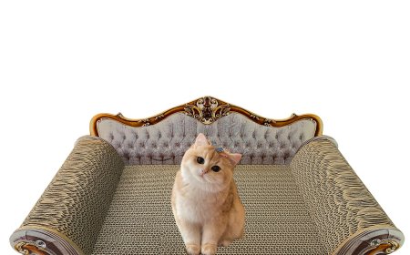 Sofa - Style Corrugated Paper Cat Scratcher: A New Darling in the Pet Supplies Market
