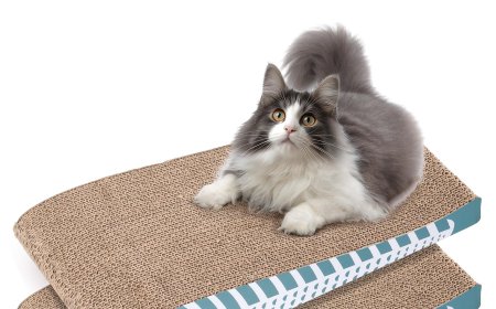 Innovative Blue Fish-shaped Cat Scratcher - The New Favorite in the Pet Supplies Market