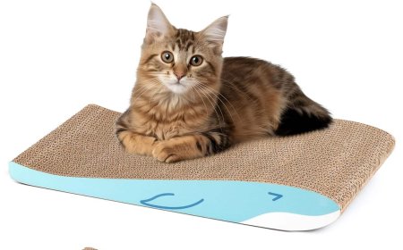  When a Cat Scratcher Becomes a "Healing Whale": More Than Just Claw-Sharpening, It’s a Gentle Nook in Life