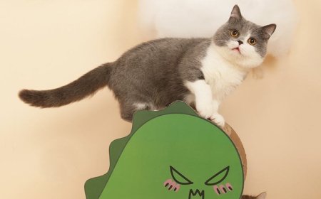 The "Viral Code" of the Pet World is Here: The "Dinosaur Guard" Cat Scratcher Blows Up, and Owners Say: It Cured My Mental Burnout