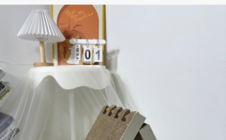 Why Cardboard Cat Scratchers Are Becoming More Popular in the Pet Market