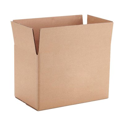 Carton Packaging Box