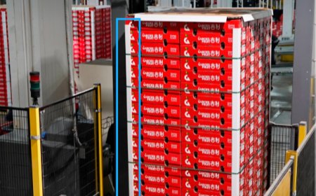 Paper Corner Protectors Support Safer Fruit Export Packaging