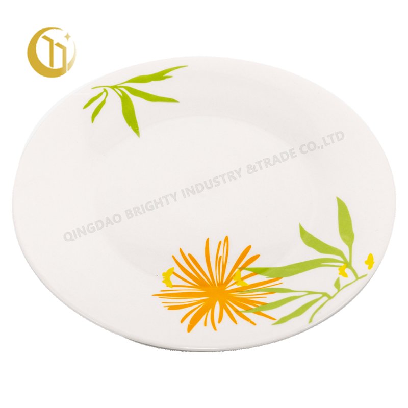 flat plate (5)