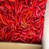 Frozen Hot Pepper Meeting Export Standards