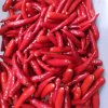 Cheap Frozen Hot Pepper