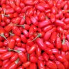  Cheap Frozen Red Goji Berries