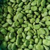 High Quality Frozen Broad Beans