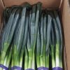 China Fresh Green Onions Price