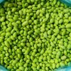 Frozen Edamame Kernel  Meeting Export Standards  