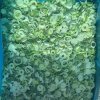 Bulk Frozen Green Onion 