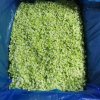 Frozen Celery Meeting Export Standards 