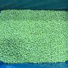 Frozen Green Peas In Stock.