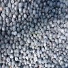 Bulk Frozen Blueberries