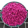 Bulk Frozen Dragon Fruit