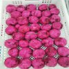 Frozen Dragon Fruit In Stock