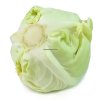 Fresh Cabbage Price