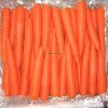 China Carrot In Stock