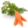 Fresh Carrot Sticks