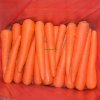 Fresh Carrot Manufacturer