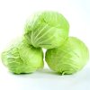 Fresh Cabbage Wholesale