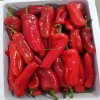 Cheap Chinese Chili Peppers